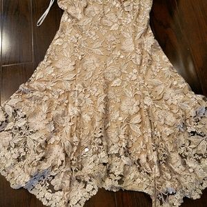 Midi Dress TADASHI SHOJI SIZE 16